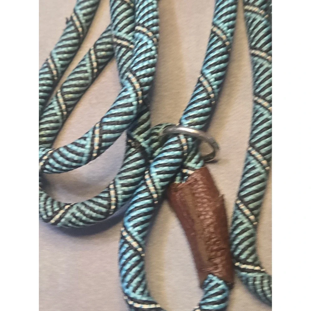 Friends Forever Durable Dog Rope Slip Leash 6ft Reflective Training Lead Teal